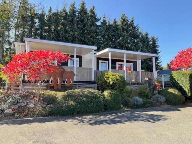 Zu Jeddelohs Bungalows & Apartments -Adult Friendly Gladenbach Exteriör bild